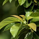 steady academic growth