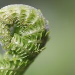 persistent study tips