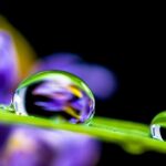 academic persistence