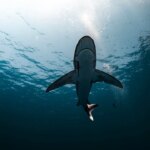 deep retention skills